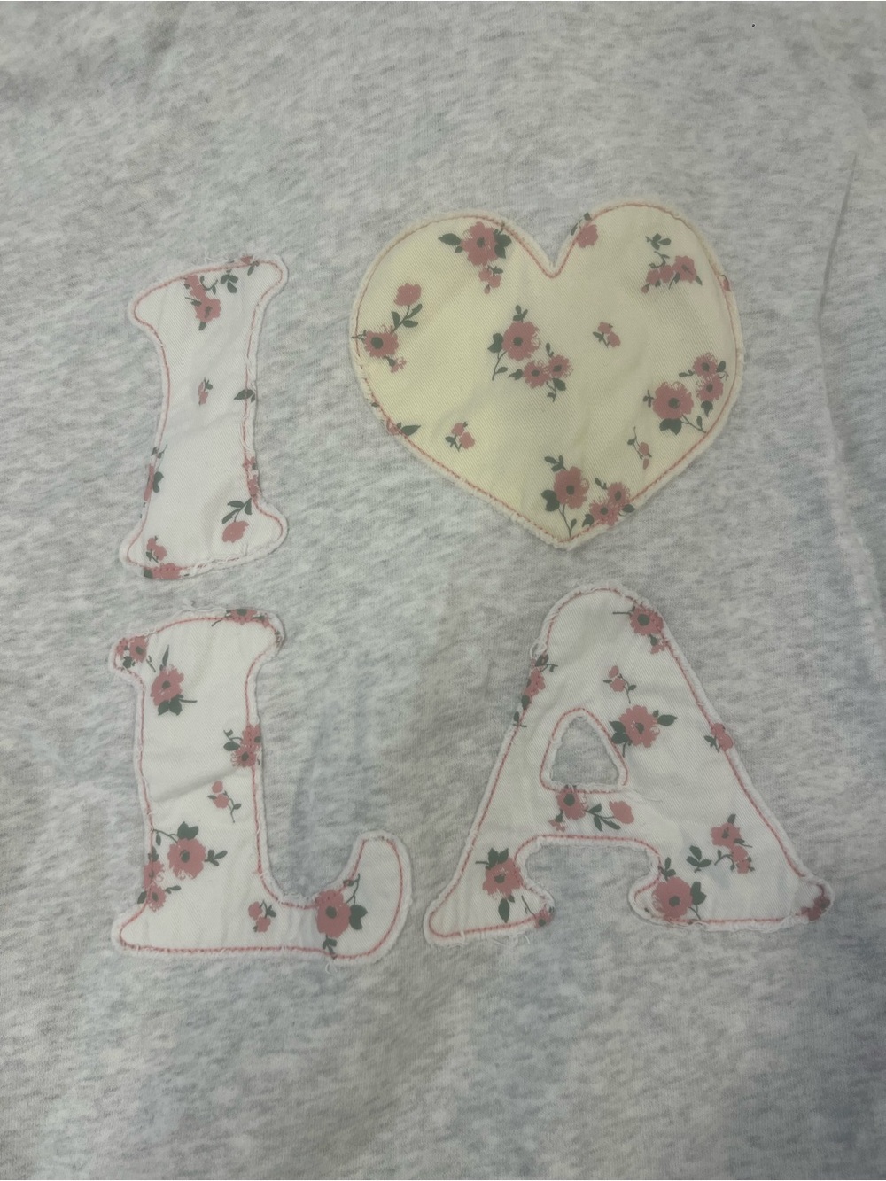 Hollister Hoodie